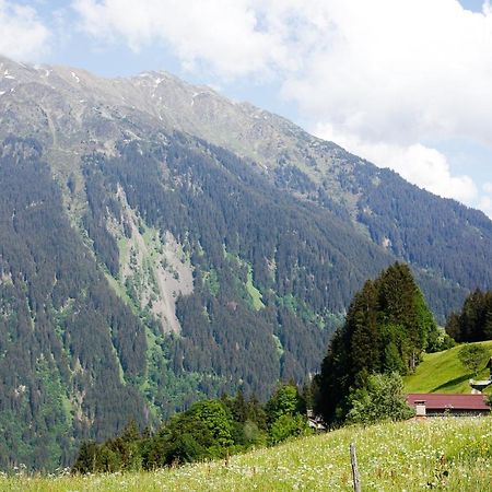 Alpenapart Montafon - Bitschweil Huesle Шрунс Екстер'єр фото